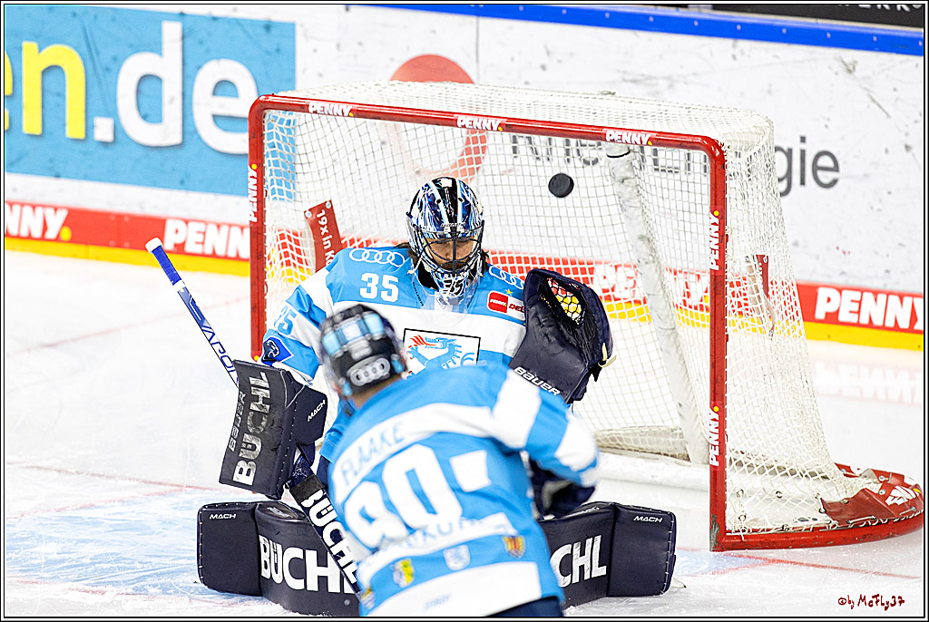 PENNY DEL;  Kölner Haie - ERC Ingolstadt; Köln, 25.11.2022